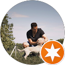 Péter Márton profile picture